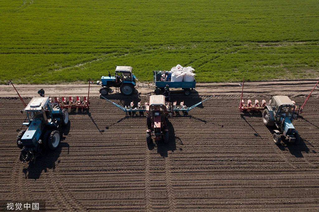 局中局！俄罗斯种业遭西方